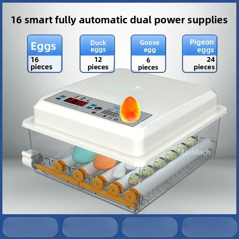 Automatic Egg Incubator - Digital Hatcher for Chicken & Quail