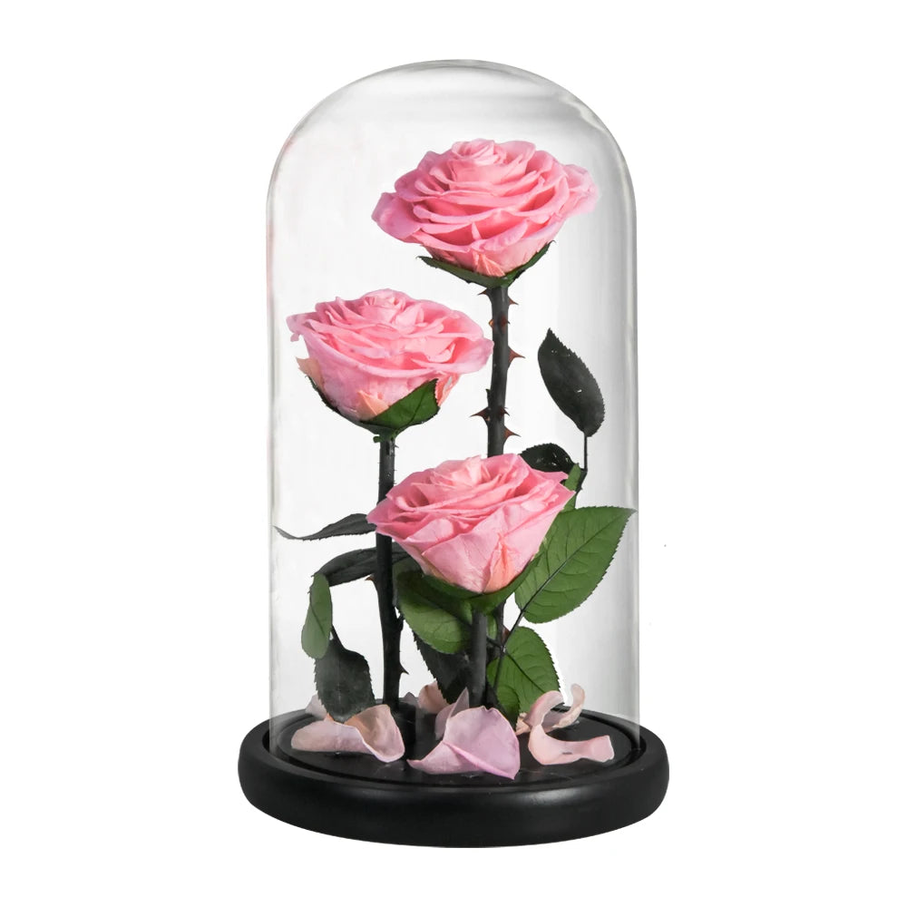 Preserved Rose in Glass Dome - Eternal LED Wedding Gift Rose
