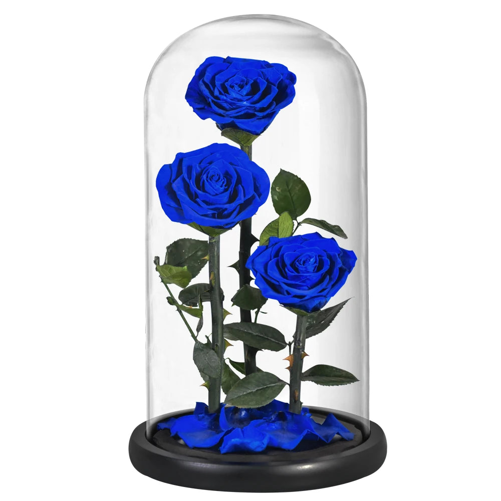 Preserved Rose in Glass Dome - Eternal LED Wedding Gift Rose