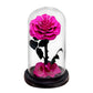 Preserved Rose in Glass Dome - Eternal LED Wedding Gift Rose