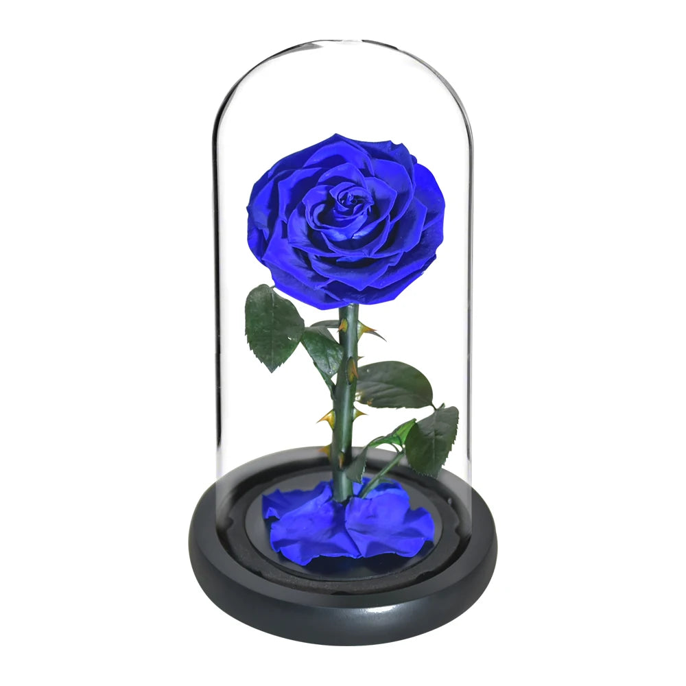 Preserved Rose in Glass Dome - Eternal LED Wedding Gift Rose