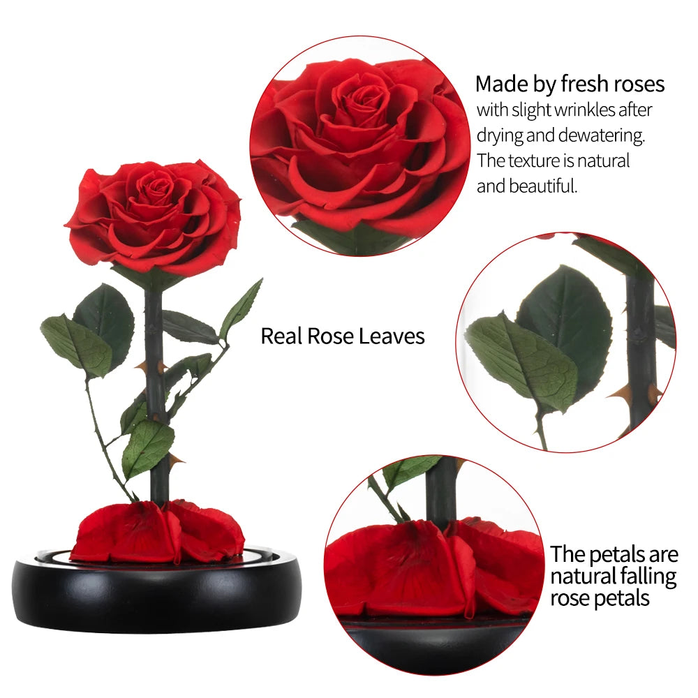 Preserved Rose in Glass Dome - Eternal LED Wedding Gift Rose