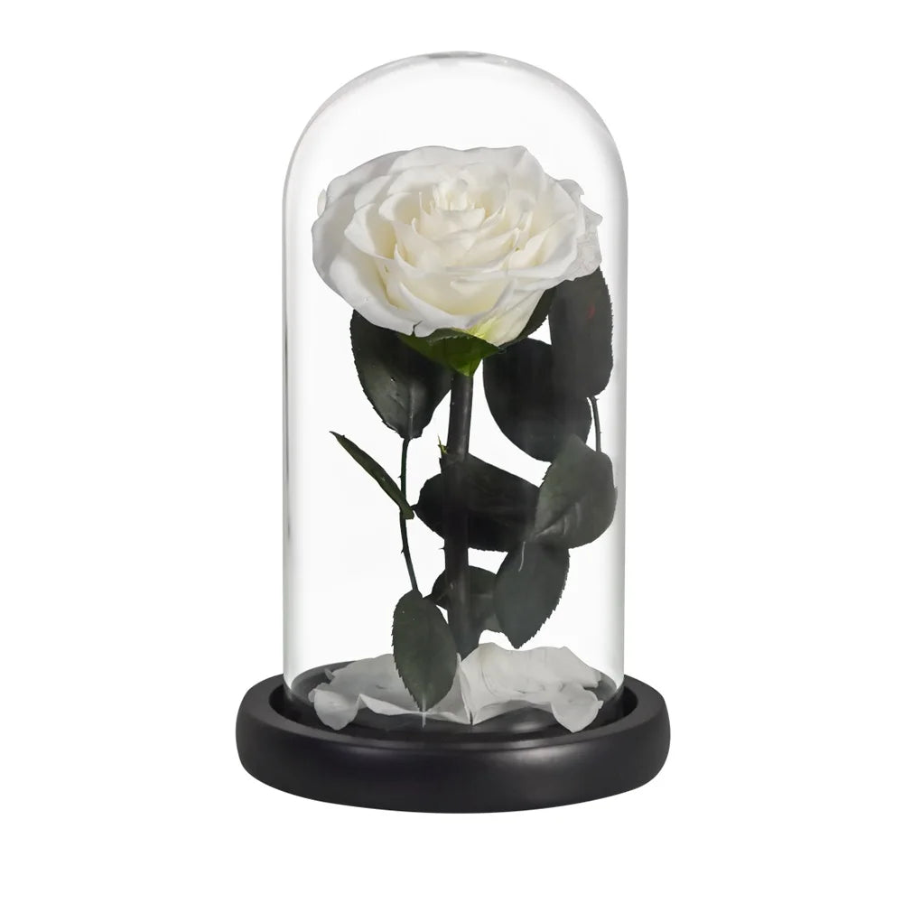 Preserved Rose in Glass Dome - Eternal LED Wedding Gift Rose