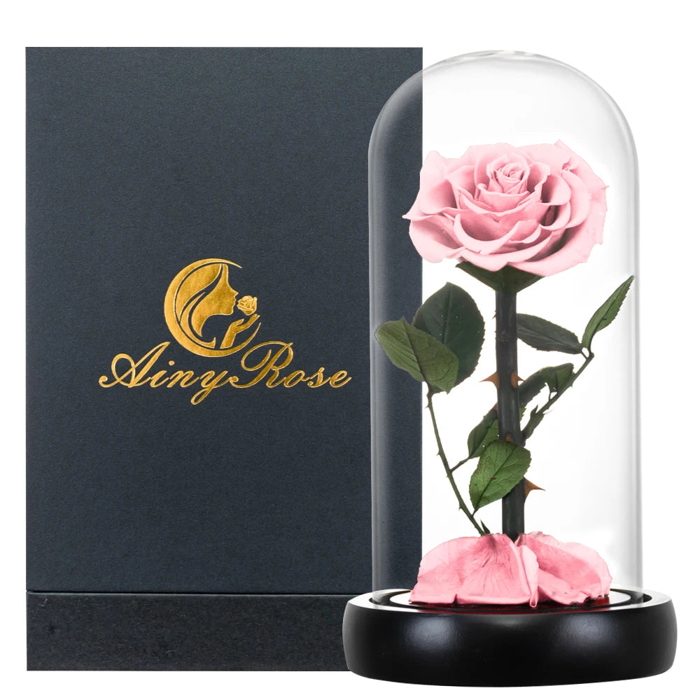 Preserved Rose in Glass Dome - Eternal LED Wedding Gift Rose