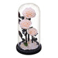 Preserved Rose in Glass Dome - Eternal LED Wedding Gift Rose