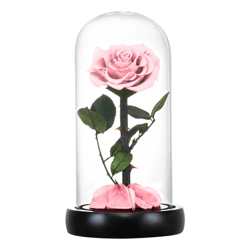 Preserved Rose in Glass Dome - Eternal LED Wedding Gift Rose