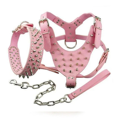 Spiked Studded Dog Harness Set - Heavy Duty Leather 3-Piece
