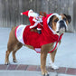 Funny Santa Rider Dog Costume - Christmas Pet Coat Jacket