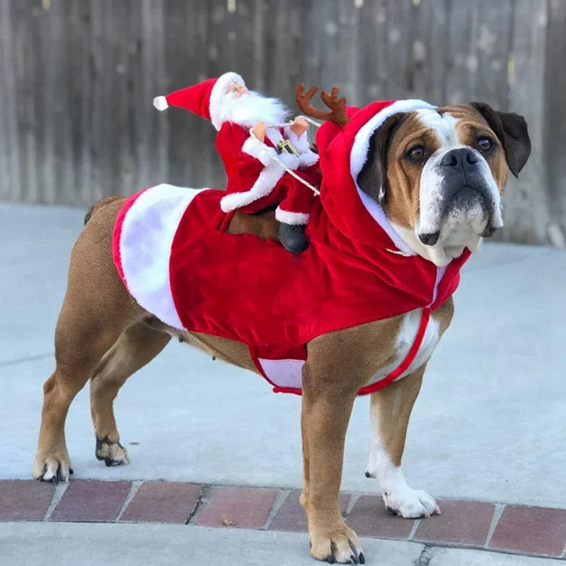 Funny Santa Rider Dog Costume - Christmas Pet Coat Jacket