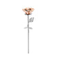 Rose Flower Cremation Jewellery - Stainless Steel Ashes Urn