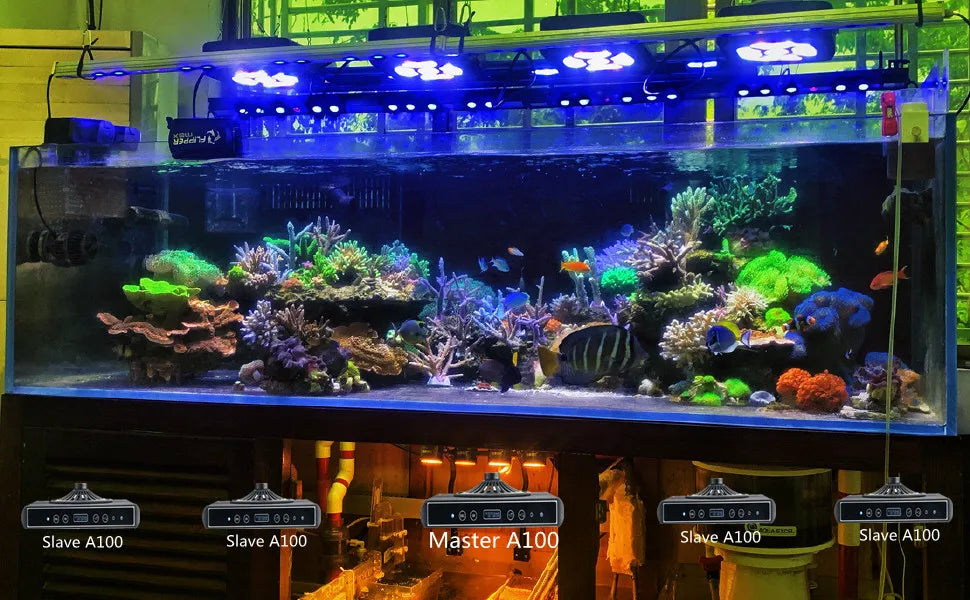 100W Coral Reef LED Aquarium Light | Sunrise & Sunset Saltwater Lamp