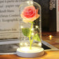 LED Enchanted Galaxy Rose in Glass Dome - Forever Flower Gift