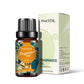 10ml Fruity Fragrance Oil - Refreshing Aromatherapy Aroma Oil