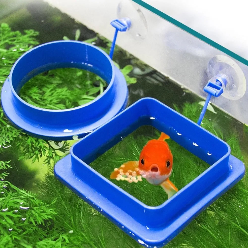Floating Aquarium Feeding Ring Set - 2pc Square & Circle Trays