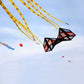 2.4m Quad-Line Stunt Kite - Professional Acrobatic Power Wing