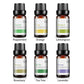 6 Essential Oils Aromatherapy Set | Pure Scents for Diffuser & Spa