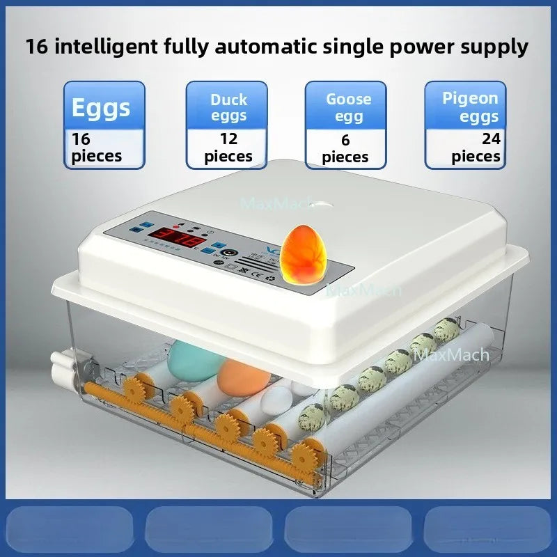 Automatic Egg Incubator - Digital Hatcher for Chicken & Quail