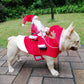 Funny Santa Rider Dog Costume - Christmas Pet Coat Jacket