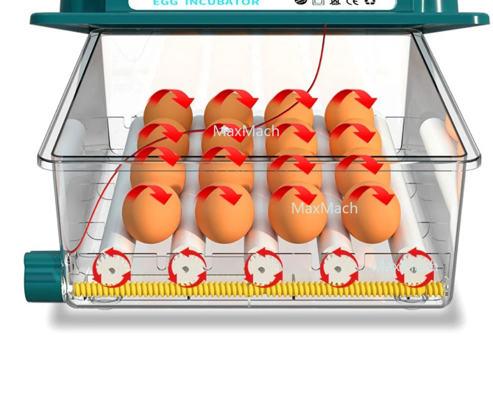 Automatic Egg Incubator - Digital Hatcher for Chicken & Quail