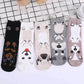5 Pairs Women's Cat Socks - Cute Animal Cartoon Cotton Art
