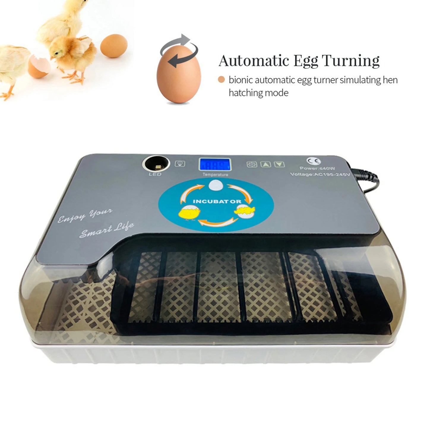 Digital 12 Egg Incubator - Automatic Hatcher with Egg Tester