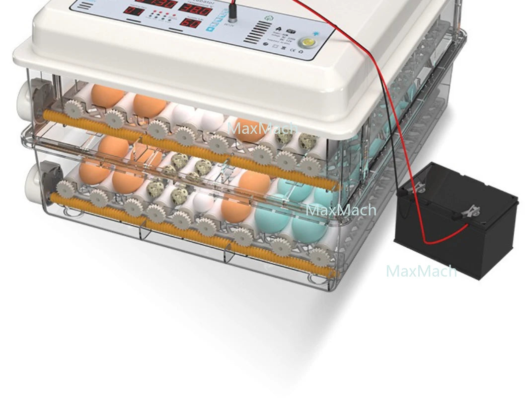 Automatic Egg Incubator - Digital Hatcher for Chicken & Quail