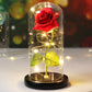 LED Enchanted Galaxy Rose in Glass Dome - Forever Flower Gift