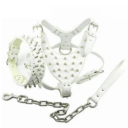 Spiked Studded Dog Harness Set - Heavy Duty Leather 3-Piece