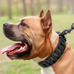 Heavy Duty Stainless Steel Dog Chain Collar - Training & Show Collar