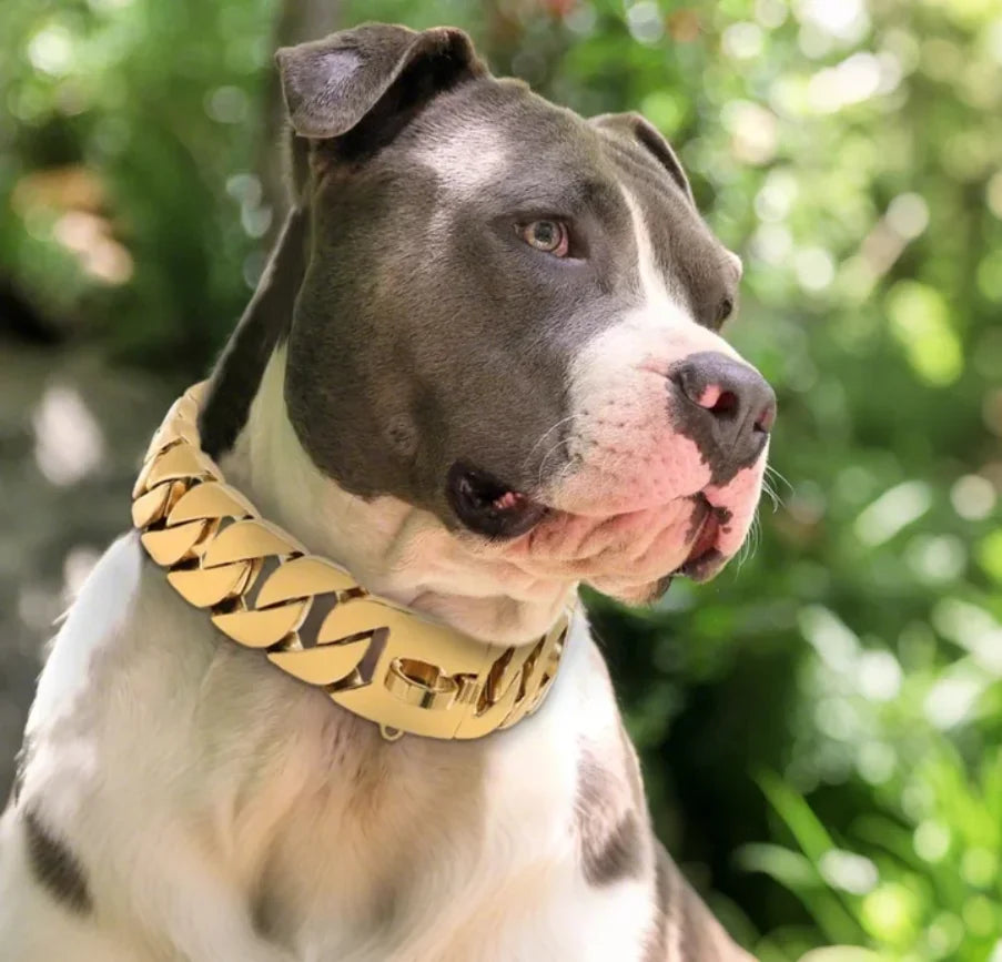 Heavy Duty Stainless Steel Dog Chain Collar - Training & Show Collar