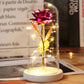 LED Enchanted Galaxy Rose in Glass Dome - Forever Flower Gift