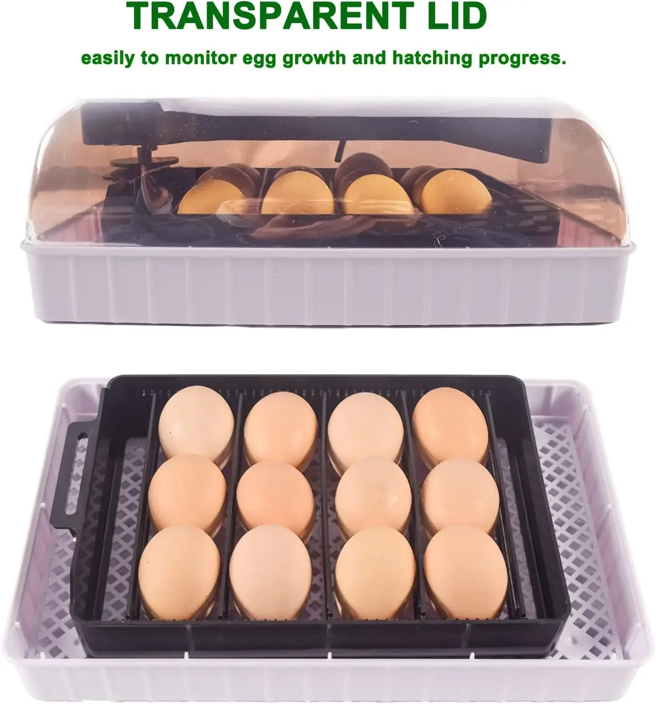 12 Egg Digital Automatic Incubator - Clear View Hatcher for Poultry
