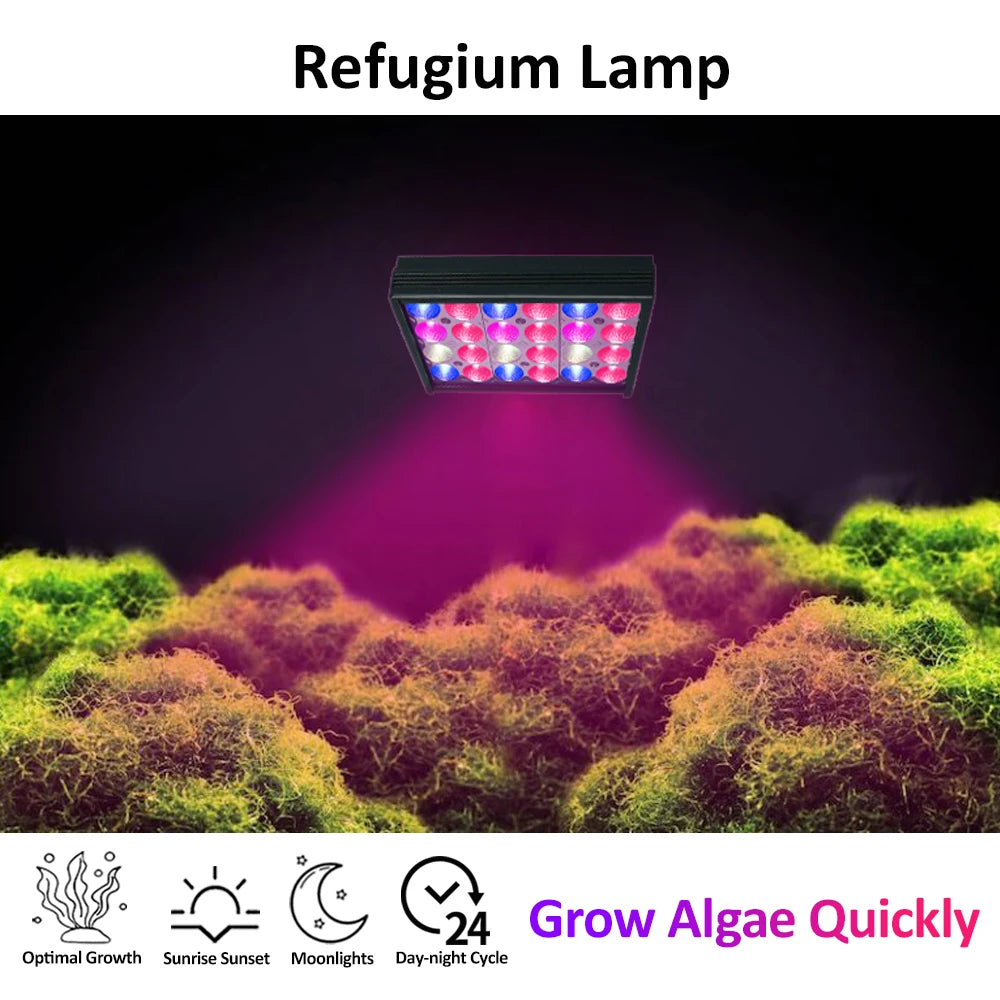 30W Refugium Light with Timer | Full Spectrum Algae Tank LED Sump Lamp