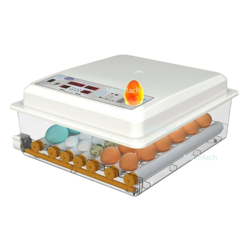 Automatic Egg Incubator - Digital Hatcher for Chicken & Quail