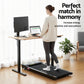 Treadmill Standing Desk Combo | Walking Pad 400mm