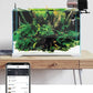 Smart WiFi Fish Feeder | Automatic Aquarium App Control Food Dispenser