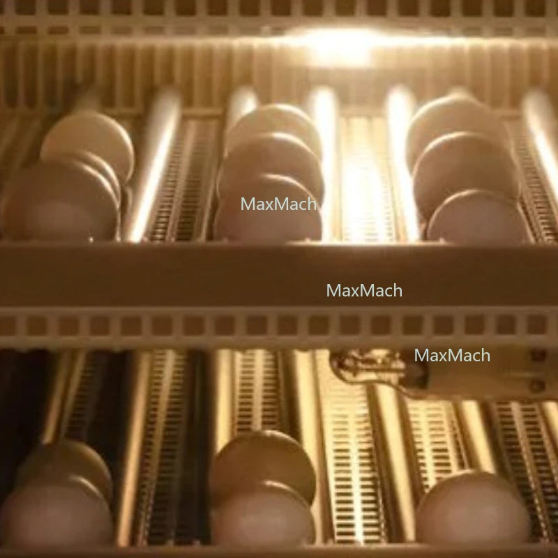 Automatic Egg Incubator - Digital Hatcher for Chicken & Quail