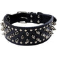 Spiked Studded Dog Harness Set - Heavy Duty Leather 3-Piece