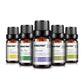 6 Essential Oils Aromatherapy Set | Pure Scents for Diffuser & Spa