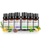 6 Essential Oils Aromatherapy Set | Pure Scents for Diffuser & Spa