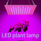 Full Spectrum LED Grow Light - Ultra-Thin Indoor Plant Lamp