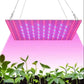 Full Spectrum LED Grow Light - Ultra-Thin Indoor Plant Lamp