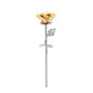Rose Flower Cremation Jewellery - Stainless Steel Ashes Urn