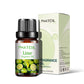 10ml Fruity Fragrance Oil - Refreshing Aromatherapy Aroma Oil