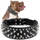 Wide Spiked Skull Dog Collar | Studded Leather Bully Collar for Large