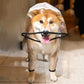 Transparent Dog Raincoat Jumpsuit - Full Body Waterproof Jacket