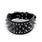 Wide Spiked Skull Dog Collar | Studded Leather Bully Collar for Large