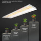 SF300 33W LED Grow Light - Full Spectrum Seedling & Clone Bar