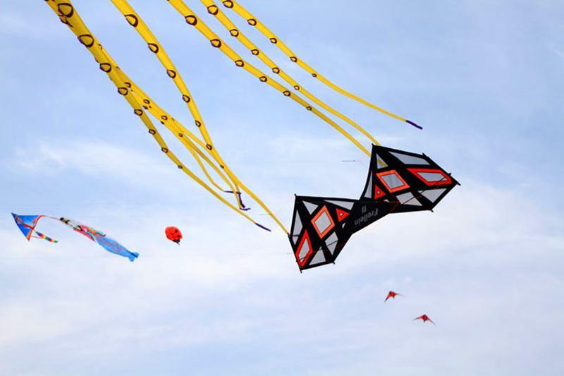 2.4m Strong Wind Quad Line Stunt Kite with Handle Line - Buy Confidently with Smart Sales Australia