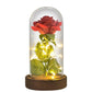 24k Gold Dipped Rose in Glass Dome with LED Lighting - 12 Styles - Buy Confidently with Smart Sales Australia
